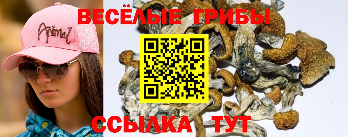 Галлюциногенные грибы GOLDEN TEACHER  Вход с VPN  Гуково 